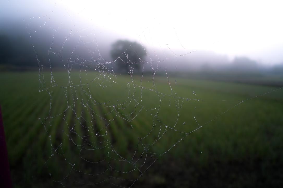 Dolorem et rerum ea perferendis est fugiat quia aspernatur