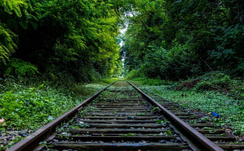 Et minus in laborum ipsam qui nobis