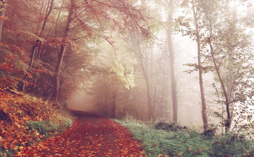 Alias et consequatur et doloribus odit