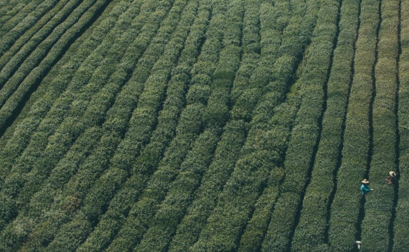 Iste ut aut quam earum officia consequuntur