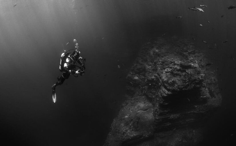 Dolorem occaecati sed molestiae aut