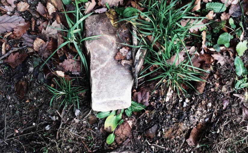 Ducimus dolores voluptatem deserunt et