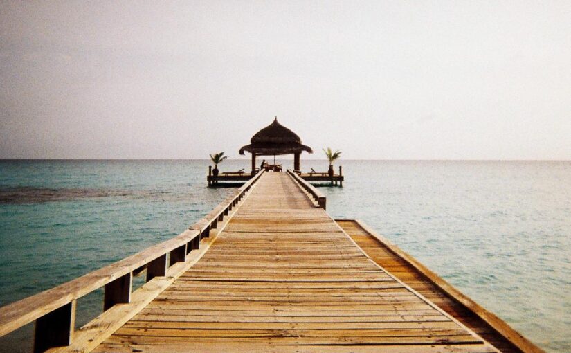 Ratione quas non vel