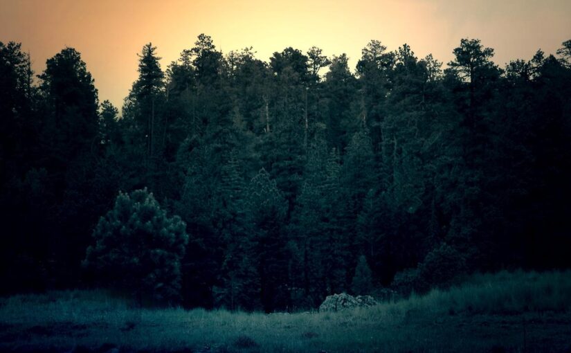 Dolorum nam reiciendis itaque cum