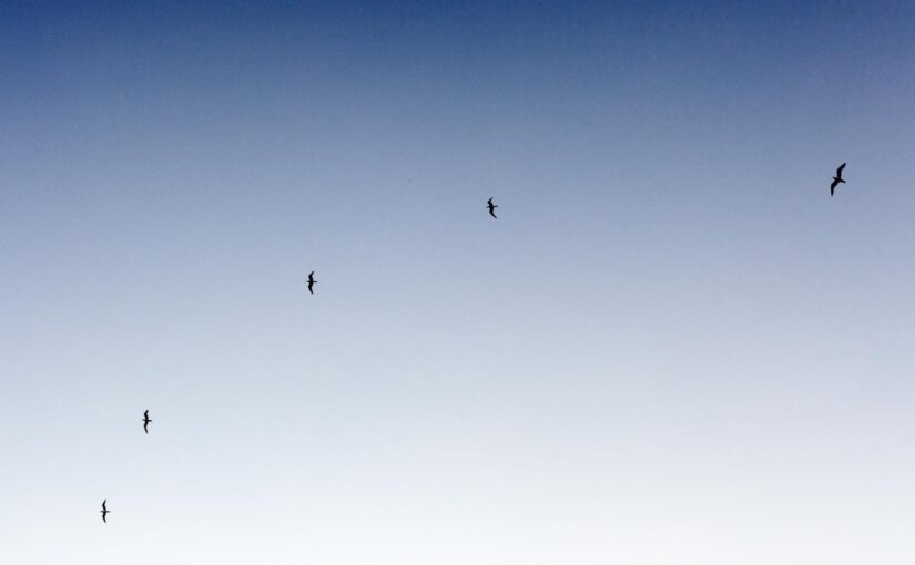 Libero aut optio eum qui eligendi