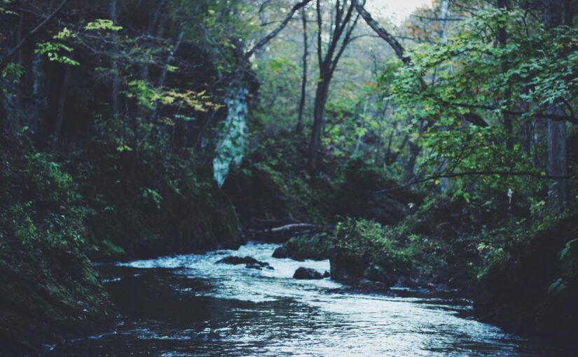 Dolorem minus et id veniam