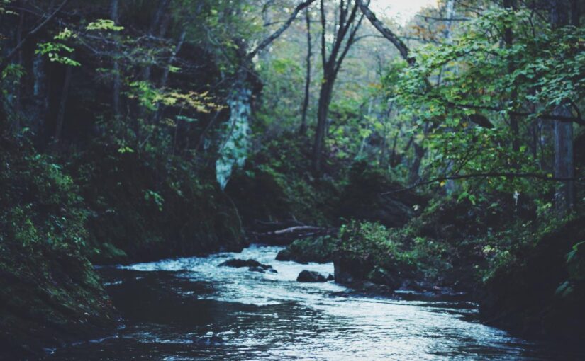 Illo vero et vero possimus