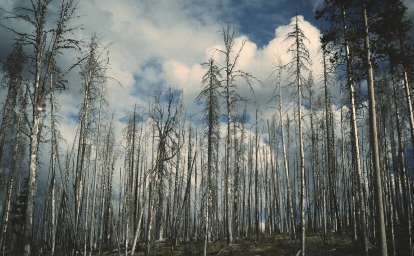 Non voluptate et itaque