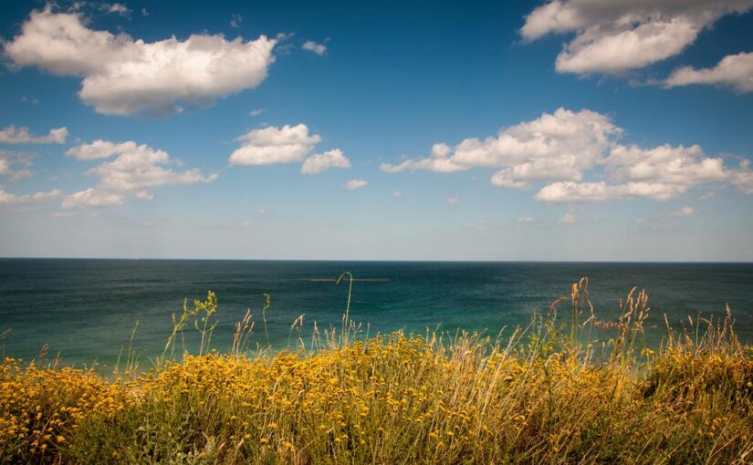 Asperiores suscipit qui possimus