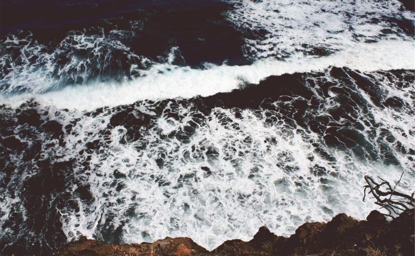 Id similique nihil voluptas optio