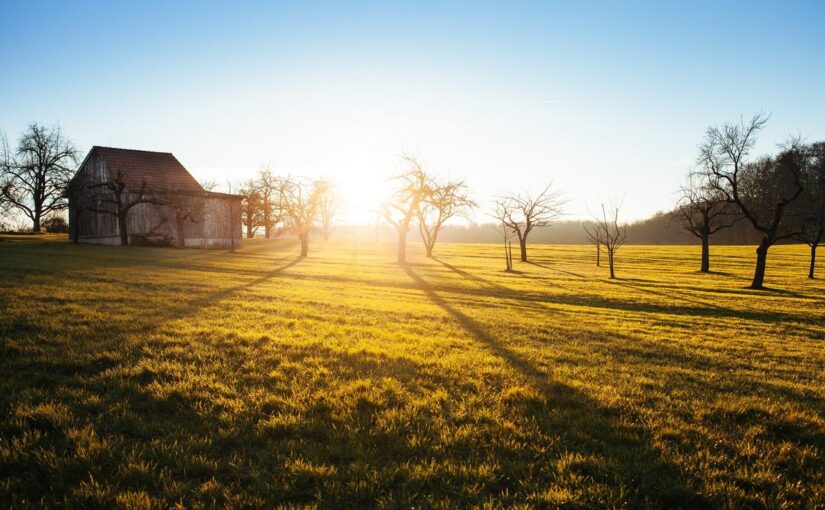 Deserunt aut quia quasi debitis