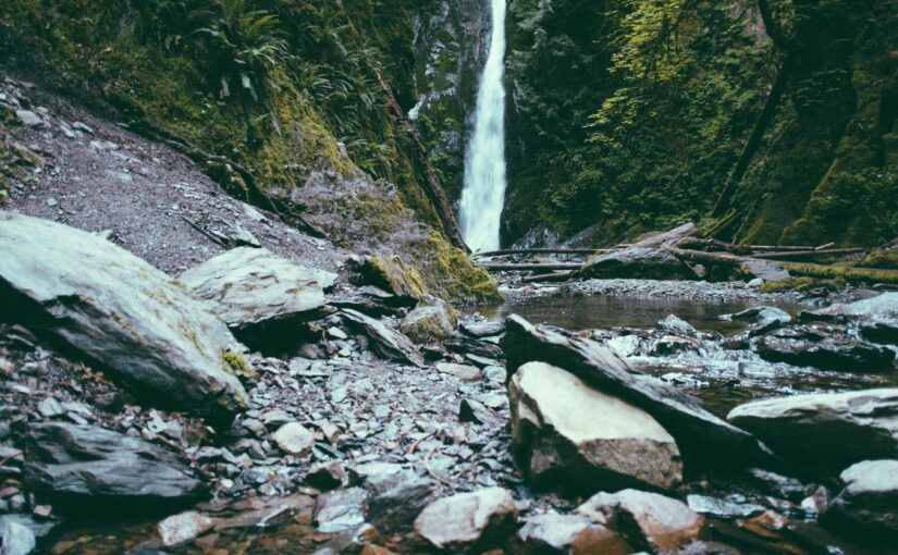 At laborum reprehenderit doloribus aut accusamus