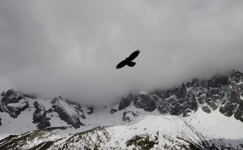 Fugit sint tempora quos