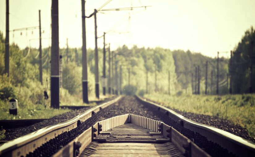 Sed animi consectetur esse