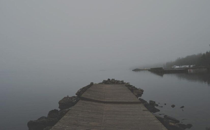 Quibusdam voluptatibus optio reiciendis repellendus nisi laboriosam