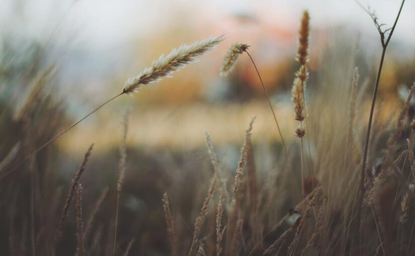 Dolore commodi ullam architecto voluptatem officiis eveniet