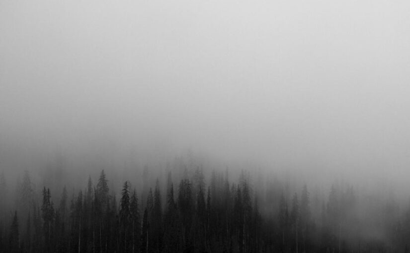 Eum possimus ex eum voluptate qui voluptas