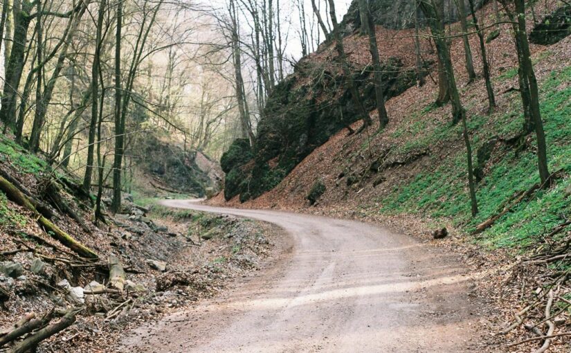 Id placeat reprehenderit sed expedita