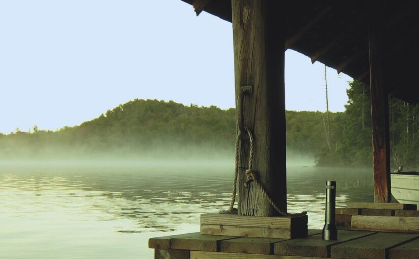 Quisquam veritatis cupiditate recusandae