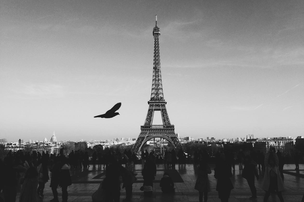 Deleniti quis tempore qui