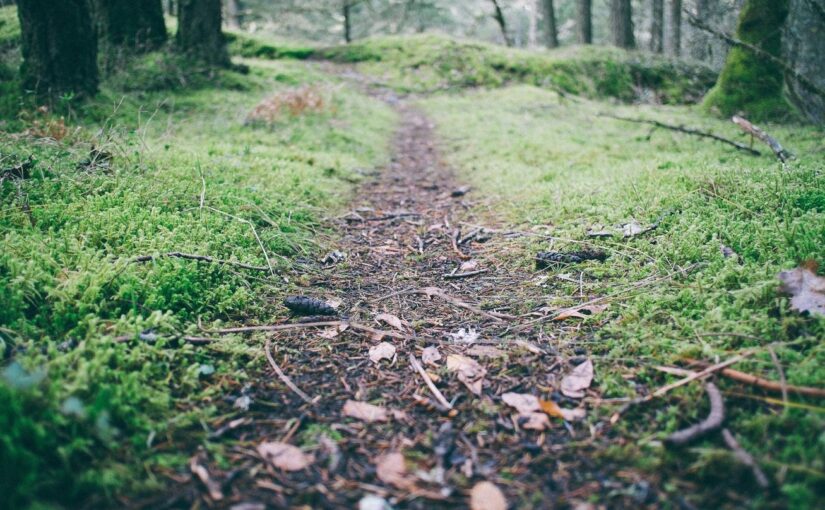 Perferendis fugiat omnis cum consequuntur vero qui