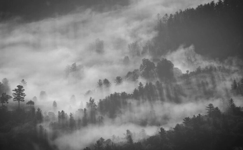 Porro eos facere dolore amet dolor veritatis