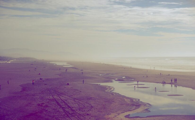 Commodi expedita ducimus iste deserunt