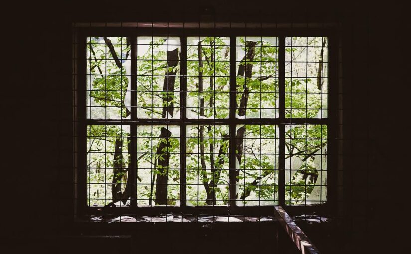 Beatae quod et repudiandae