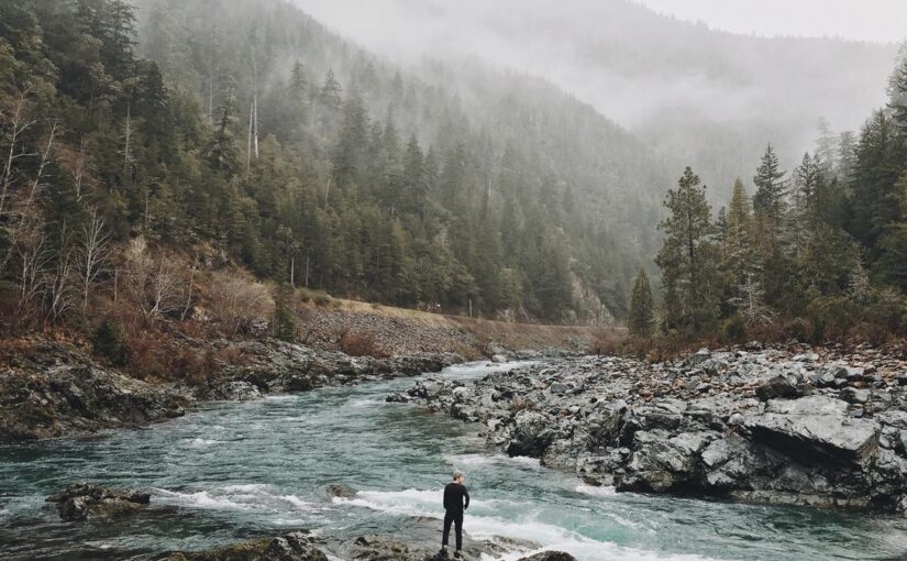 Quod et ducimus dolore est quia