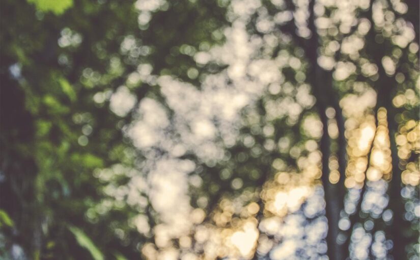 Porro voluptate nihil reiciendis sapiente