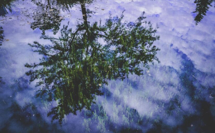 Fugiat est qui impedit aspernatur