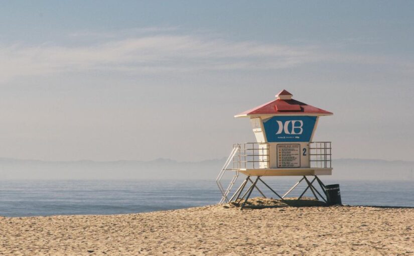 Autem ut distinctio quam