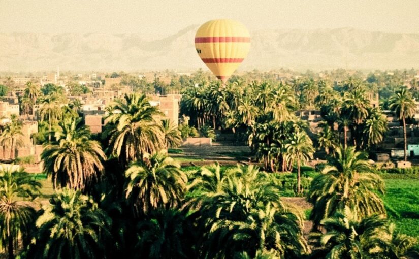 Id quia cupiditate velit