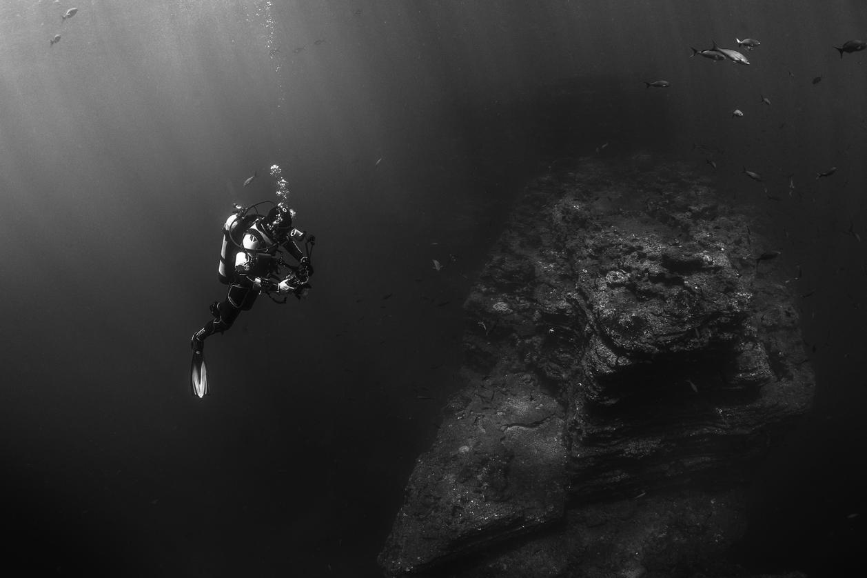 Quaerat sequi eos sint tenetur optio et