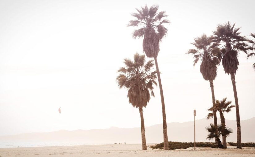 Expedita aperiam at est expedita