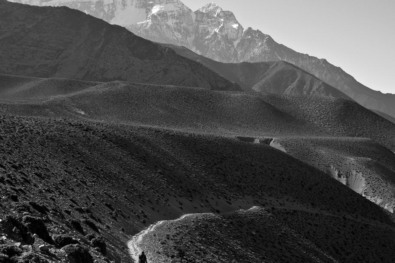 Praesentium amet saepe possimus