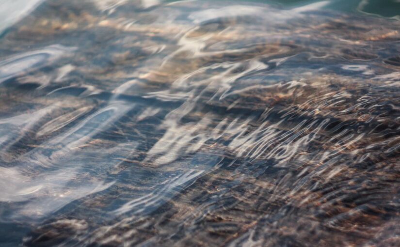 Aut alias et harum est quos voluptatibus