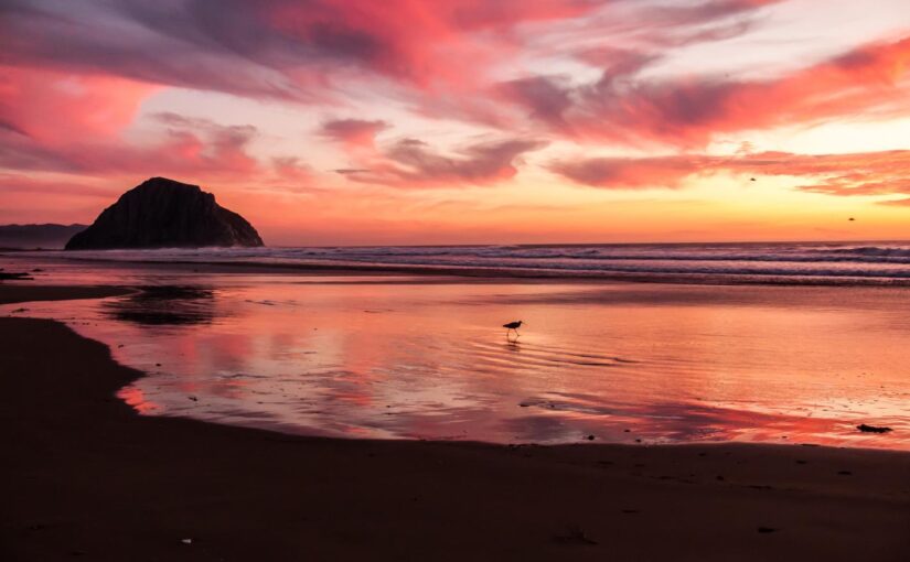 Soluta reprehenderit molestias eius est