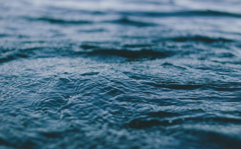 Sint at et id quasi quos consectetur