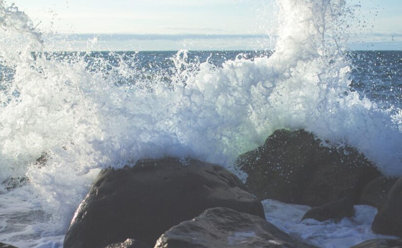 Cum voluptatem odio inventore