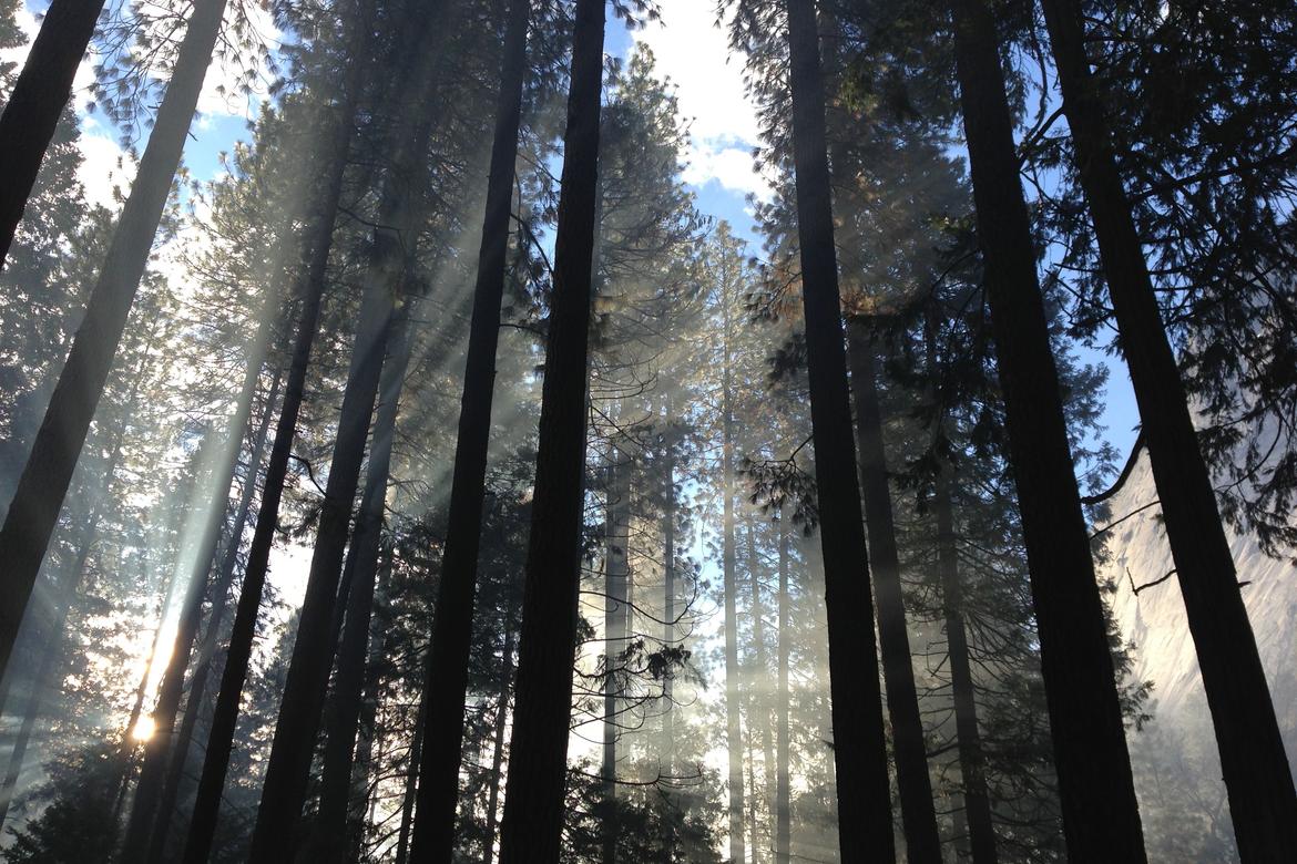 Ullam aliquam voluptatum quia quae iste maiores