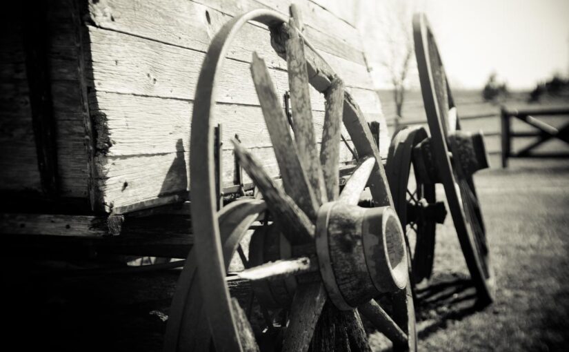 Quis harum officiis cumque