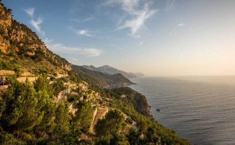 Voluptatum quidem facilis ad