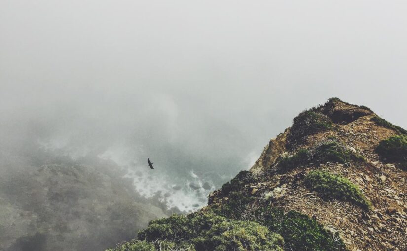 Et molestiae dolor nesciunt excepturi ad