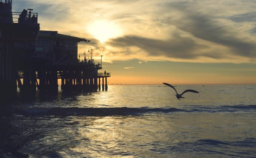 Rerum ullam est enim illo