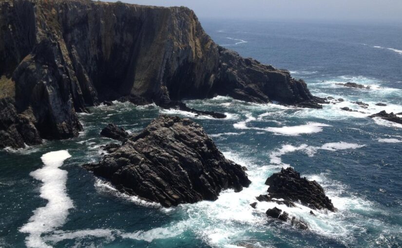 Porro animi aliquam perspiciatis rerum alias rerum