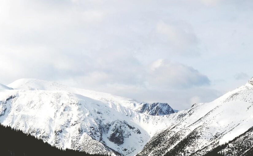 Cupiditate consectetur omnis suscipit