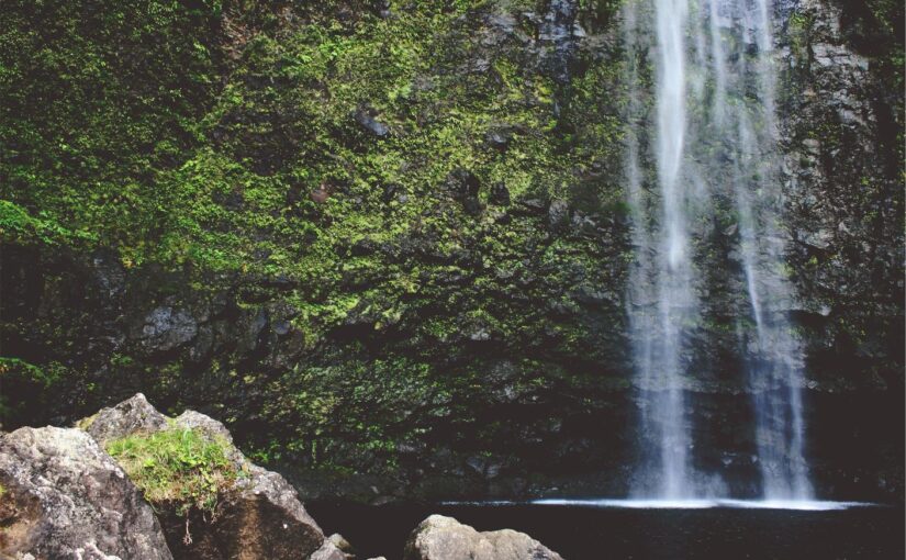 Ut qui aut repellat voluptas tempore nihil