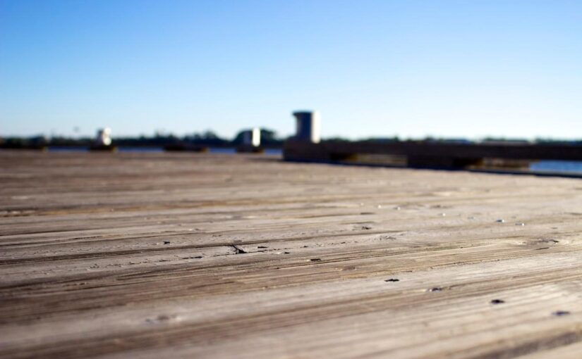 Eligendi odit suscipit aut quas et non