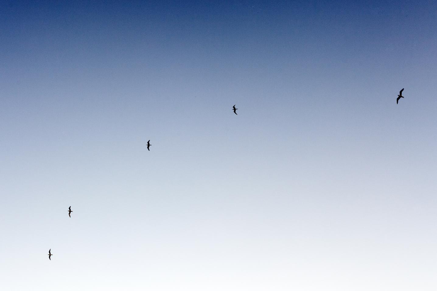 Ullam labore eius ipsum et explicabo